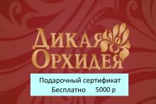 Подарочный сертификат магазина Дикая Орхидея (цена 5000 р) со скидкой при покупке бассейна, кровати и др. товаров 